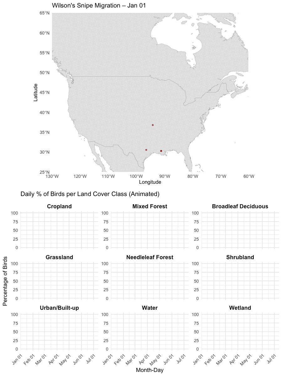 Wilson's Snipe Migration Animation